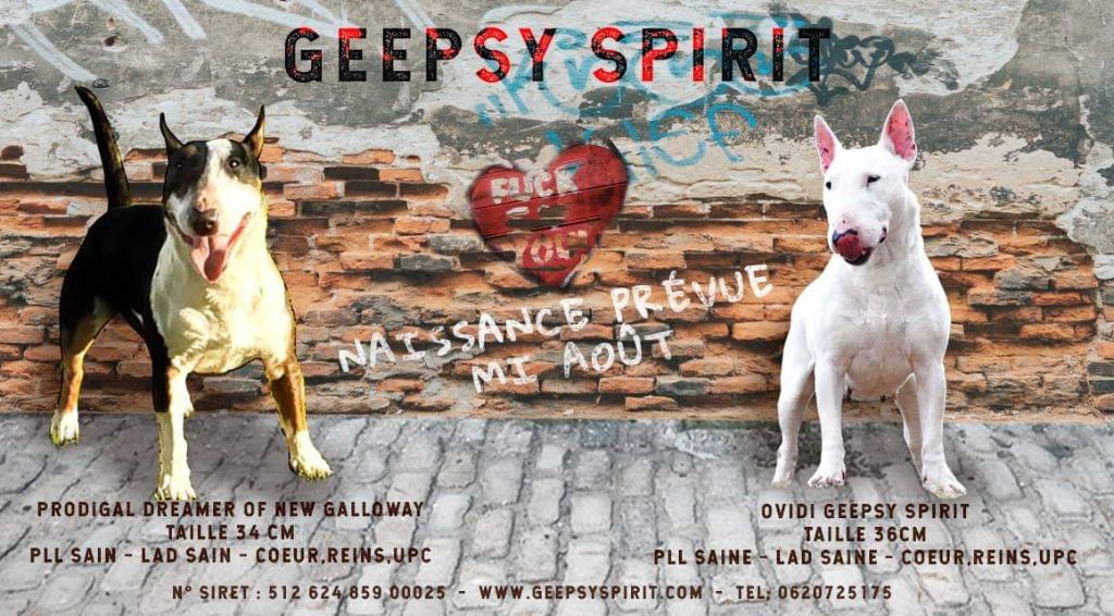 Geepsy Spirit - MARIAGE 2021